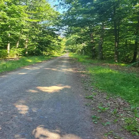 Komfort & In Dankerodeim Holzhaus Andi Дом отдыха