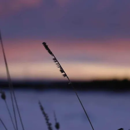 Komfort & In Dankerodeim Holzhaus Andi * Dankerode (Saxony-Anhalt)