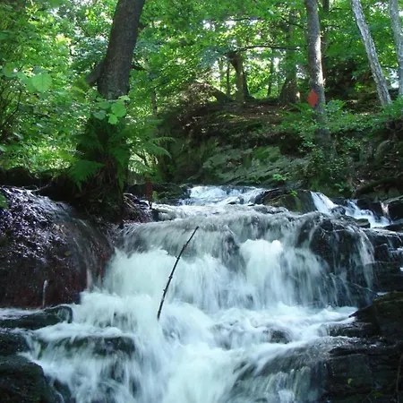 Komfort & In Dankerodeim Holzhaus Andi