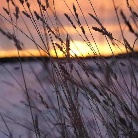 Дом отдыха Komfort & In Dankerodeim Holzhaus Andi