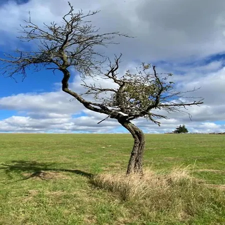 Дом отдыха Komfort & In Dankerodeim Holzhaus Andi *