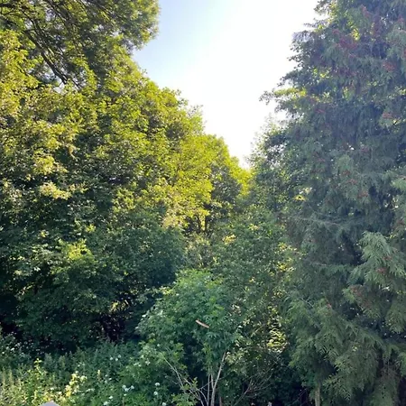 Graceful In With Garden