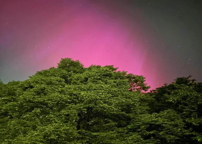 Komfort & In Dankerodeim Holzhaus Andi Vakantiehuis