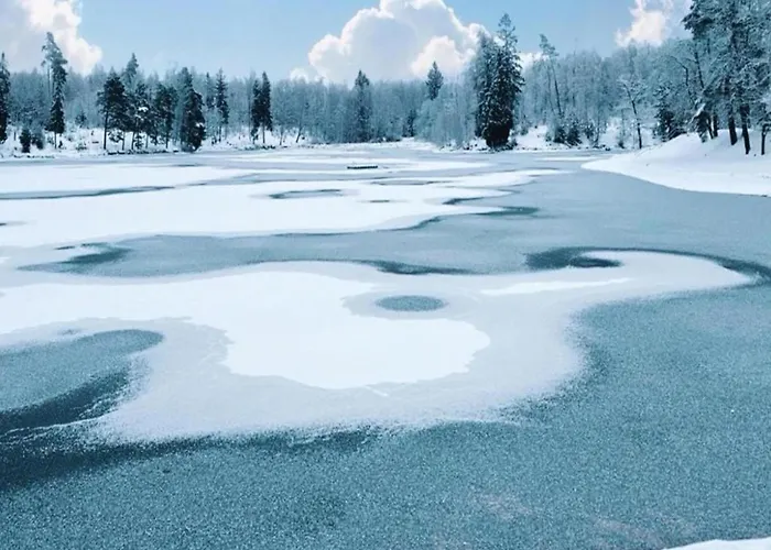 Vakantiehuis Komfort & In Dankerodeim Holzhaus Andi *
