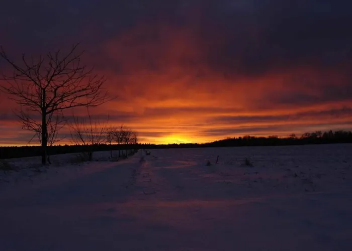 Komfort & In Dankerodeim Holzhaus Andi Dankerode (Saxony-Anhalt)