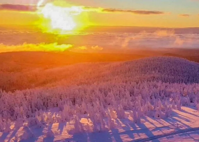 Komfort & In Dankerodeim Holzhaus Andi * Dankerode (Saxony-Anhalt)