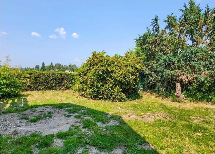 Komfort & In Dankerodeim Holzhaus Andi Vakantiehuis *