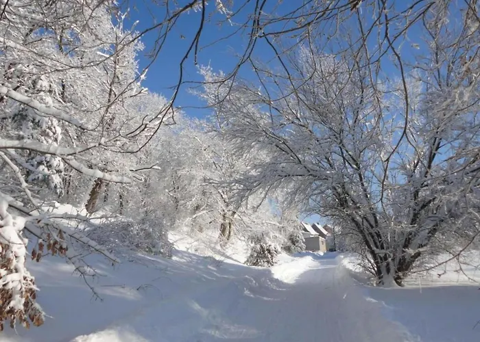 Vakantiehuis Komfort & In Dankerodeim Holzhaus Andi *