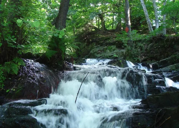 Komfort & In Dankerodeim Holzhaus Andi