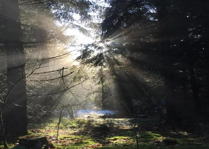 Komfort & In Dankerodeim Holzhaus Andi Vakantiehuis