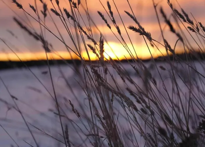 Vakantiehuis Komfort & In Dankerodeim Holzhaus Andi
