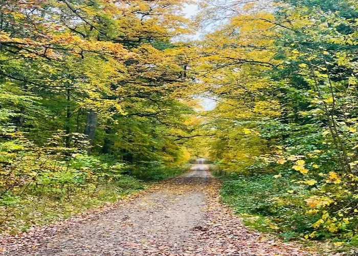 Vakantiehuis Komfort & In Dankerodeim Holzhaus Andi Dankerode (Saxony-Anhalt)
