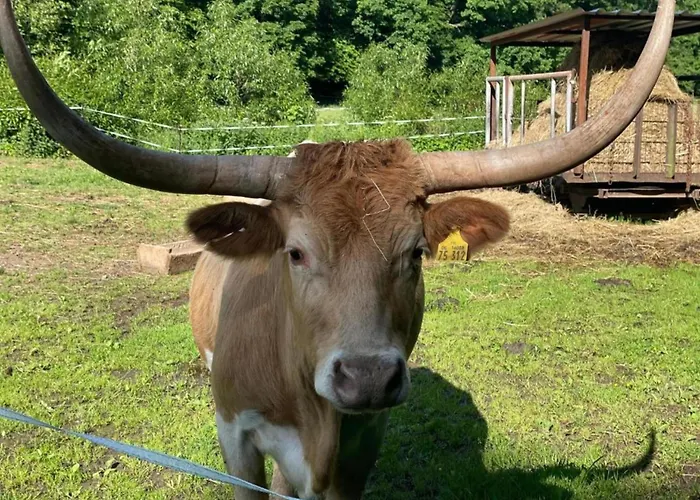 Komfort & In Dankerodeim Holzhaus Andi *