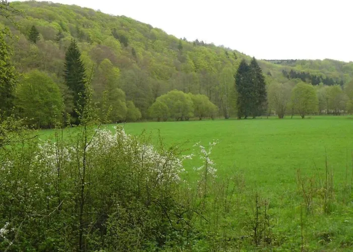 Komfort & In Dankerodeim Holzhaus Andi * Dankerode (Saxony-Anhalt)