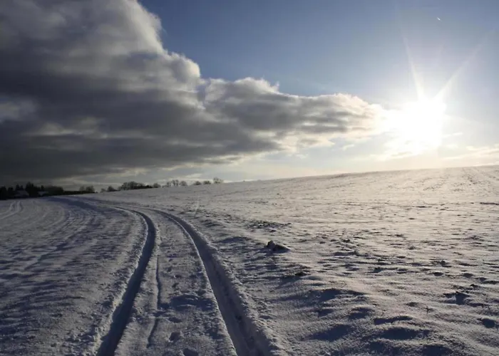 Komfort & In Dankerodeim Holzhaus Andi Vakantiehuis *